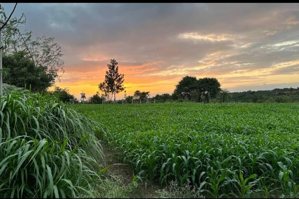 Sattva Farmstay Bangalore Eksteriør billede