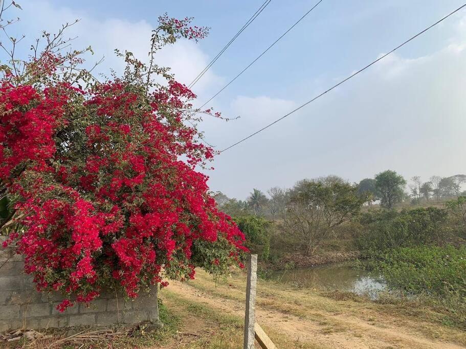 Sattva Farmstay Bangalore Eksteriør billede