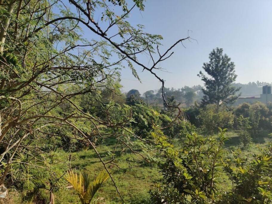 Sattva Farmstay Bangalore Eksteriør billede